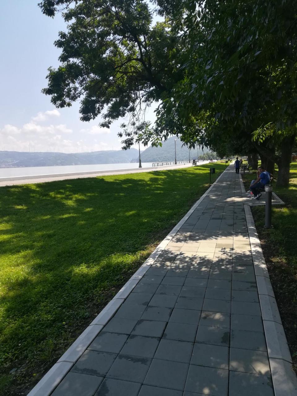 Apartman Bogić Golubac Zewnętrze zdjęcie