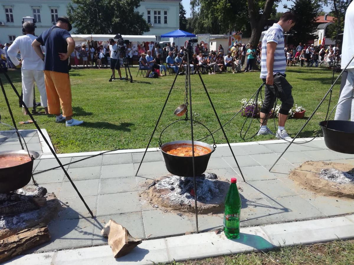 Apartman Bogić Golubac Zewnętrze zdjęcie